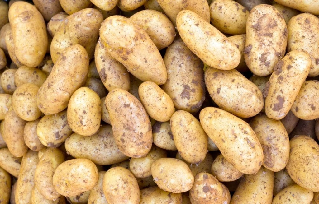 potatoe-background-2021-08-26-18-12-06-utc