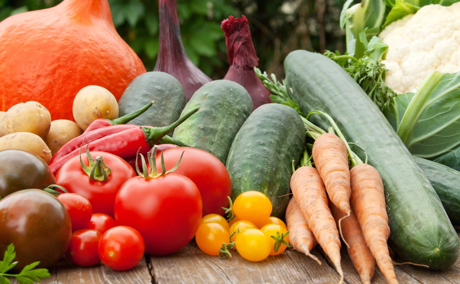 s1 gemüse 2 engrais pour légumes