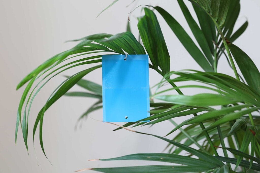 4551g blaufallen anwendung andermatt biogarten