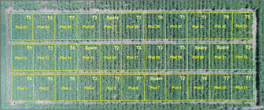 Imagen de dron georreferenciada con superposición de parcelas, Kaombe Farm, Malawi