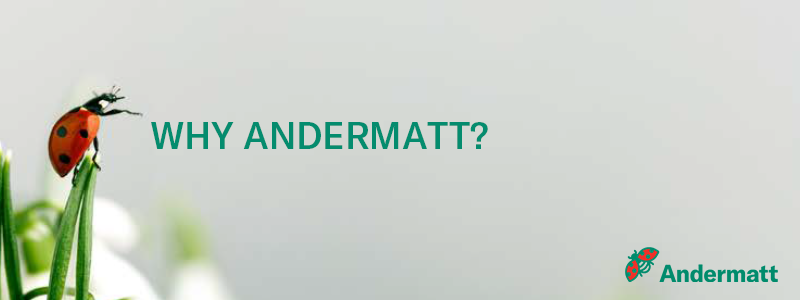 Andermatt Group AG