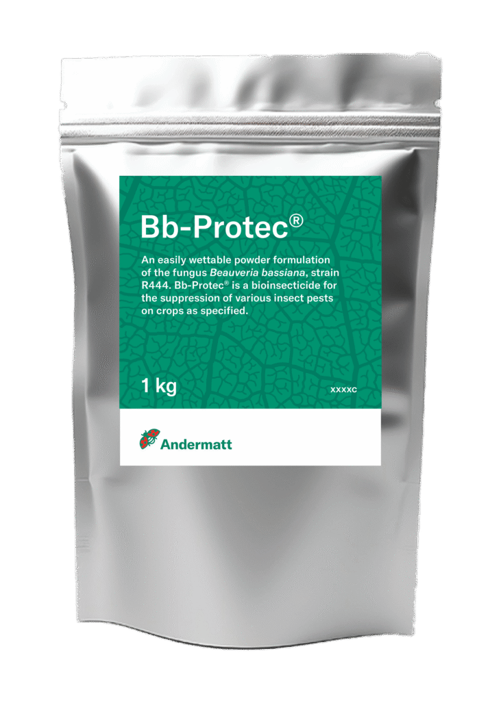 andermatt bb protec packshot