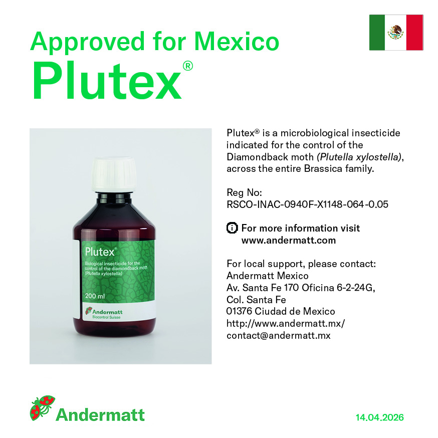 agag newsflash plutex mexico 060426